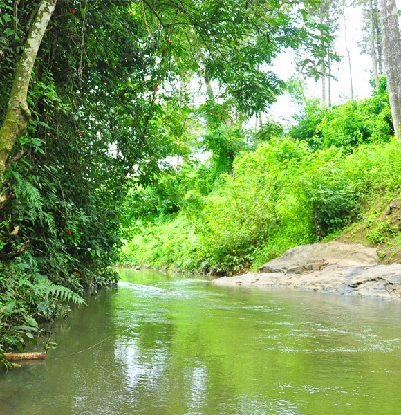 Take a bath in the Natural Stream- A rejuvenating experience.