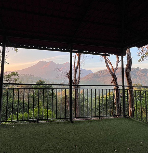 Breathtaking views of the valley and tea hardens. See if you can spot a deer through our telescope.
